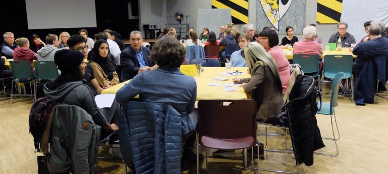 Mladá politická diskuse