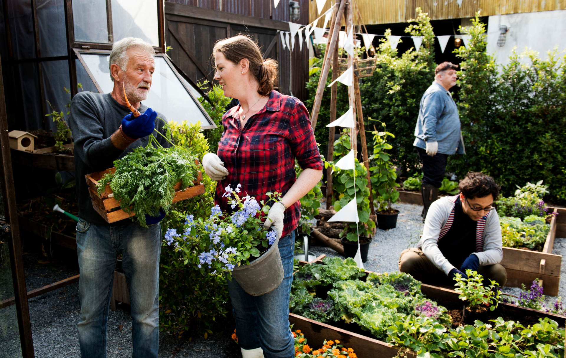 Group of people planting vegetable in greenhouse